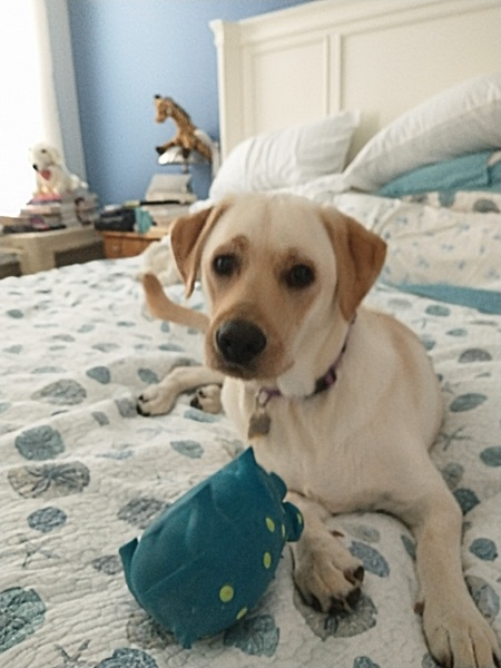 Lily Grace