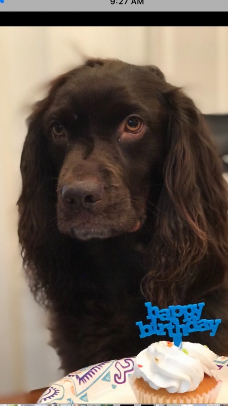 Tucker