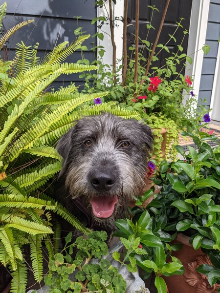 Sam