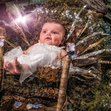 Entry image for Cora