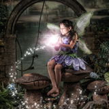 Entry image for Shelby