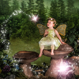 Entry image for Dylan