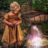 Entry image for Willow