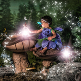 Entry image for Arianna