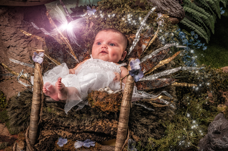 Entry image for Cora. Clicking this image will show a larger photo