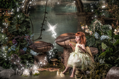 Entry image for Shea. Clicking this image will show a larger photo