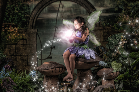 Entry image for Shelby. Clicking this image will show a larger photo