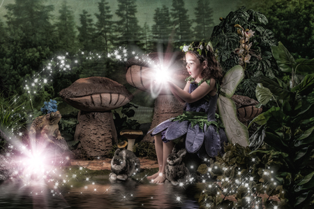 Entry image for Phoebe. Clicking this image will show a larger photo