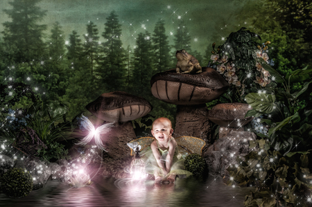 Entry image for Josie. Clicking this image will show a larger photo