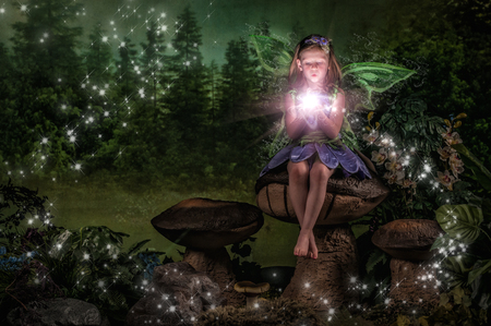 Entry image for Kaitlin. Clicking this image will show a larger photo