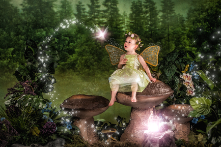 Entry image for Dylan. Clicking this image will show a larger photo