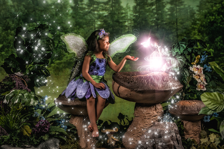 Entry image for Rose. Clicking this image will show a larger photo