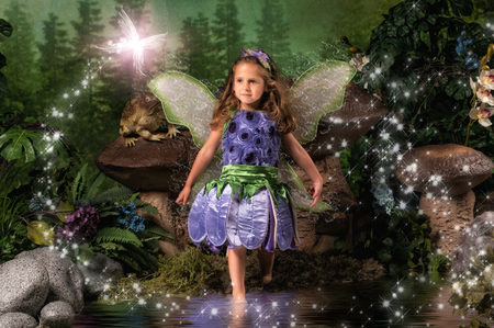 Entry image for Lily. Clicking this image will show a larger photo