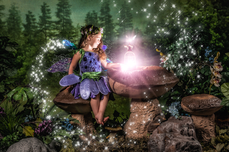 Entry image for Maddie. Clicking this image will show a larger photo