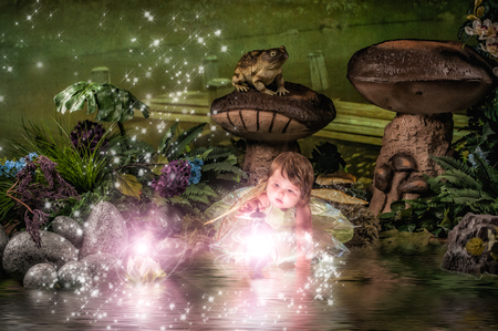 Entry image for Hailey. Clicking this image will show a larger photo