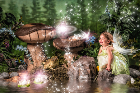 Entry image for Stella. Clicking this image will show a larger photo