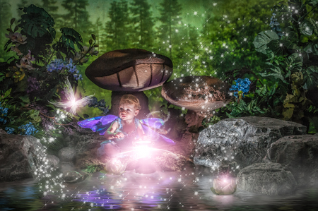 Entry image for Zia. Clicking this image will show a larger photo