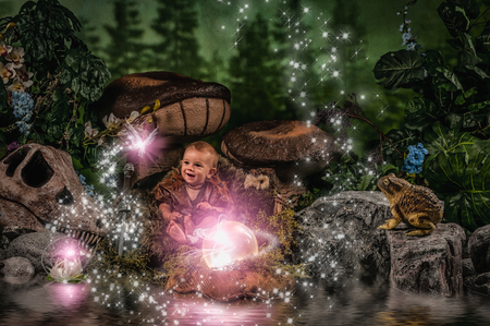 Entry image for Tyrion. Clicking this image will show a larger photo