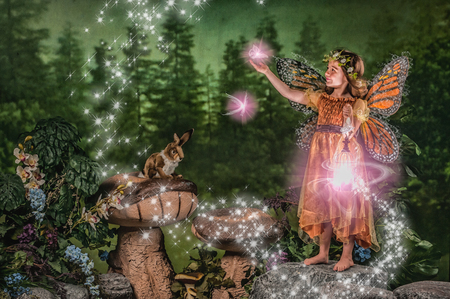 Entry image for Molly. Clicking this image will show a larger photo