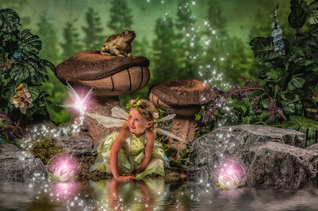 Entry image for Cassidy. Clicking this image will show a larger photo