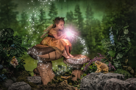 Entry image for Layla. Clicking this image will show a larger photo