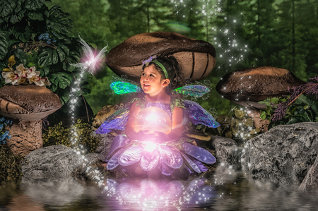 Entry image for Sophia. Clicking this image will show a larger photo