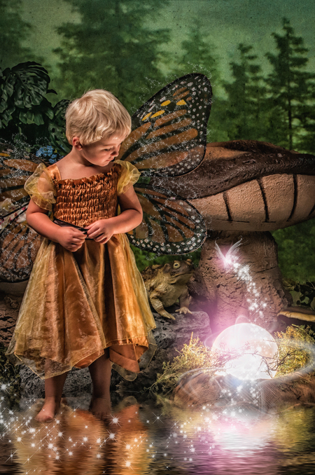 Entry image for Willow. Clicking this image will show a larger photo