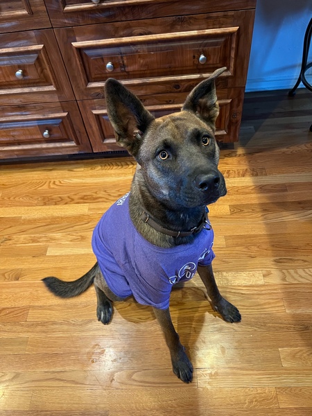 Milo