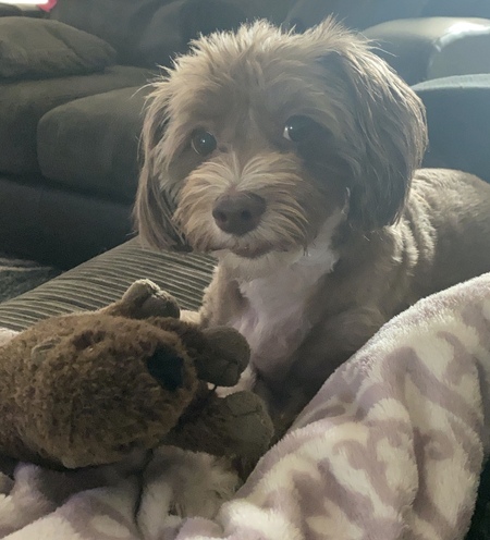 Chloe
