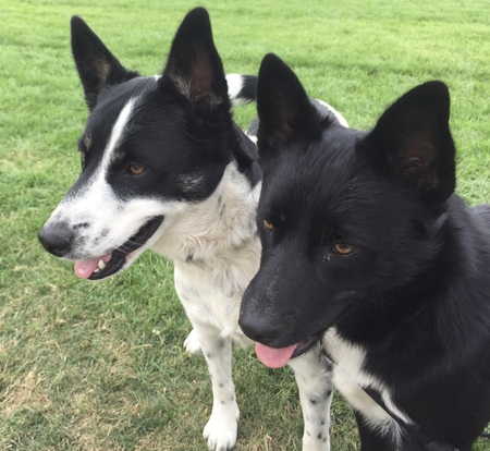 Gypsy and Kenji