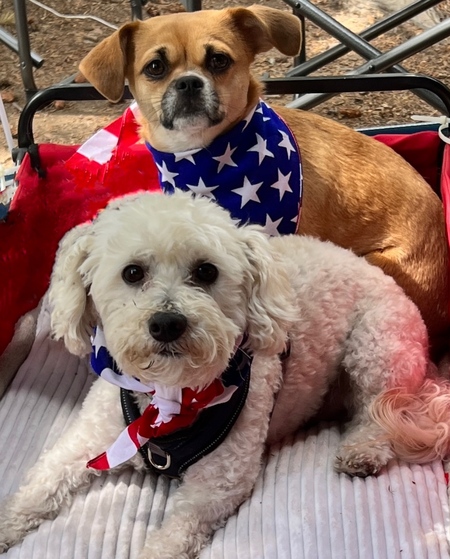 Abby and Koda