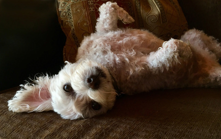 Mr. Winston