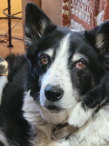 Monty