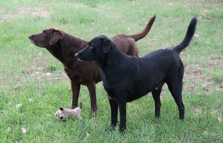 Abby and Finn