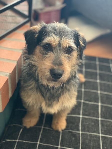 Chester