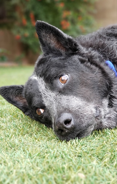 Max