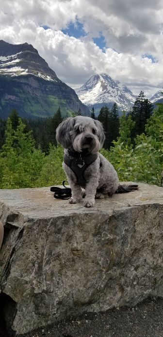 Bella