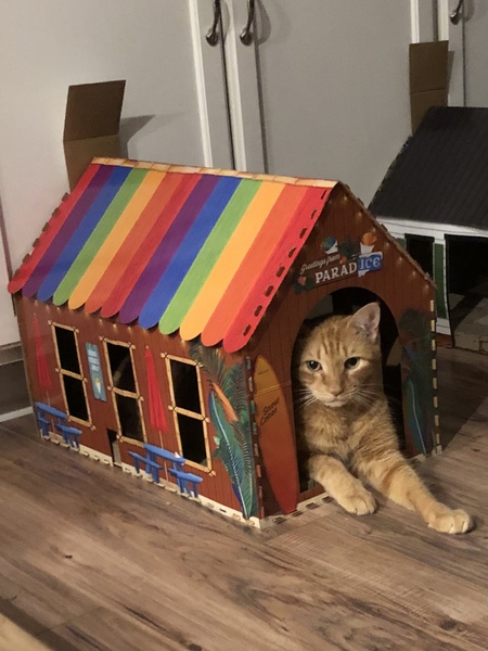 Milo