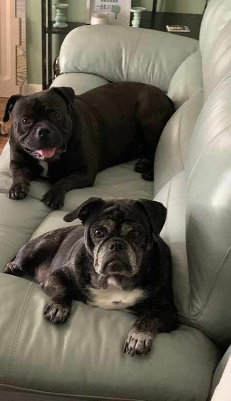 Lucy and Big Head
