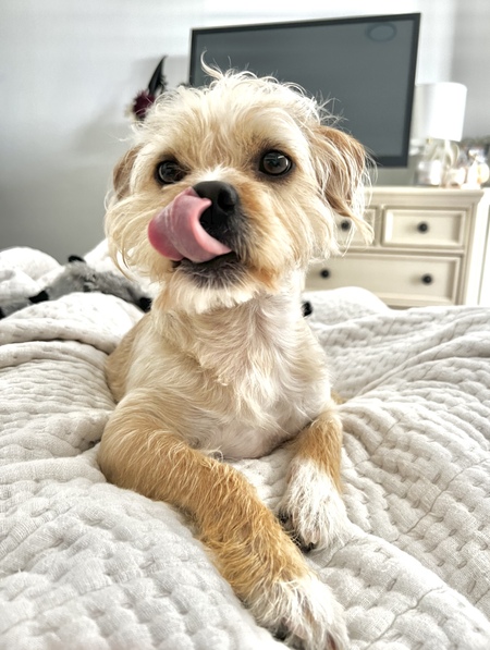 Fonzo