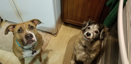 Buddy and Sally