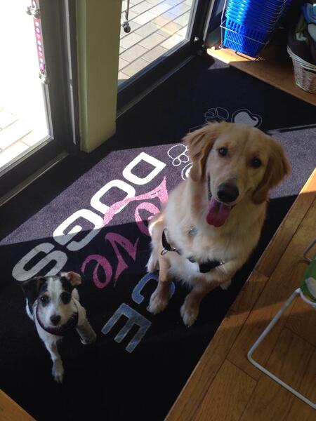Riley & Lucy