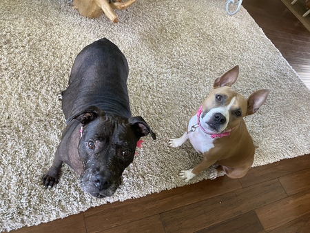 Bessie & Alexa