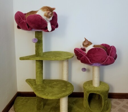 Duncan & Lenny