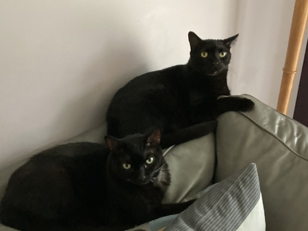 Eb and Sniffles