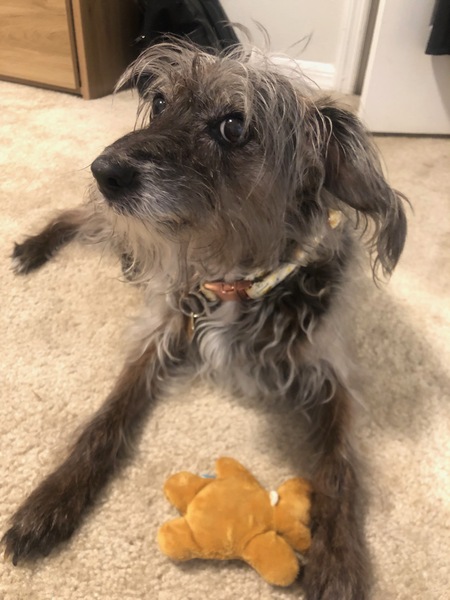 Chloe