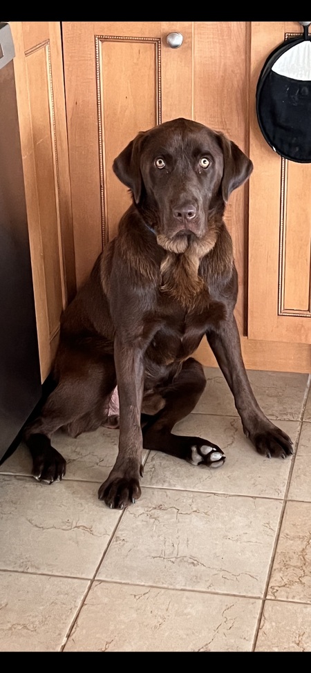 Roscoe 