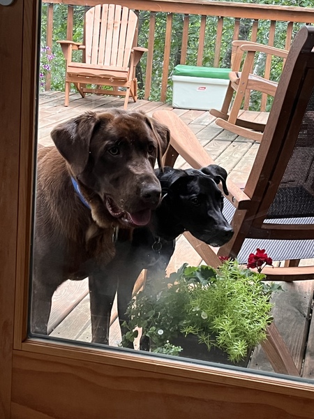 Roscoe and Mia 