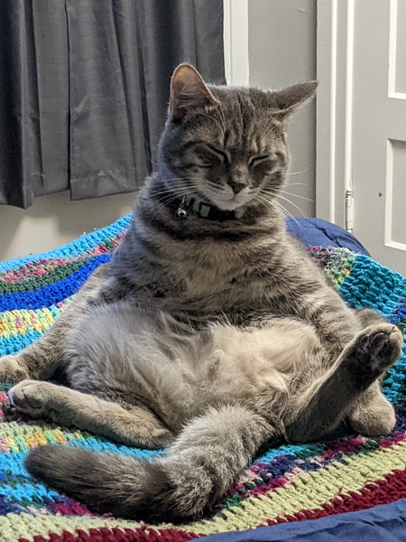 Gideon 
