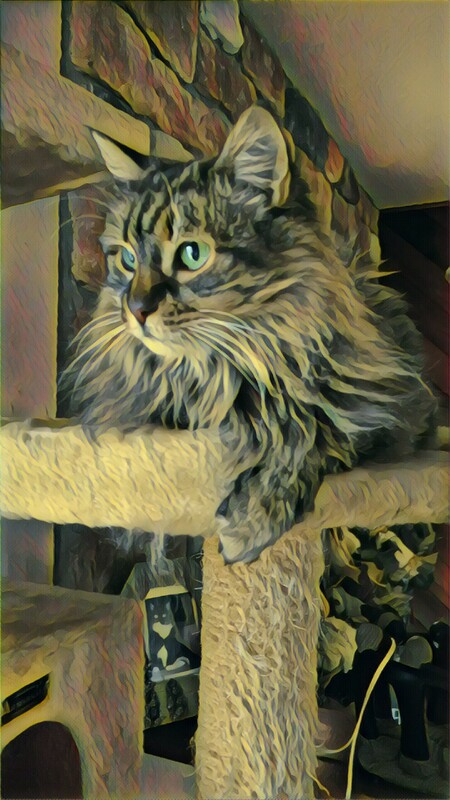 Missy